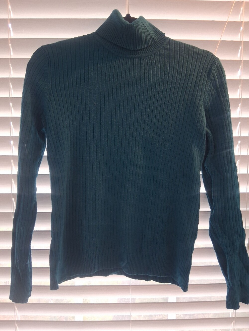 Merona Teal Ribbed Turtleneck Sweater